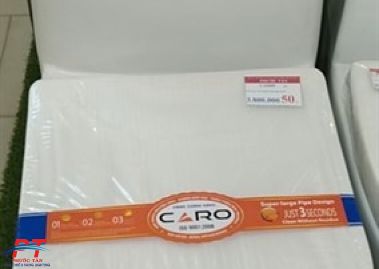 Bồn cầu Caro CA5009