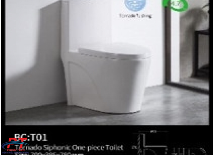 Bồn cầu Folard FLT01