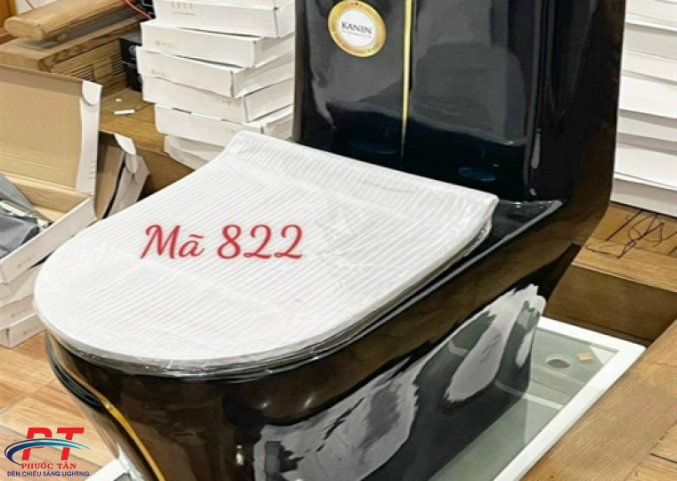 Bồn Cầu PTBC822
